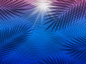 Palm Tree Lines PPT Backgrounds