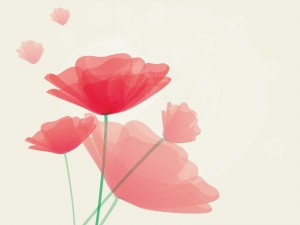Summer Poppy Flower Backgrounds
