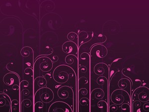 Flower Purples Backgrounds