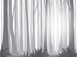 Foggy Forest PPT Backgrounds