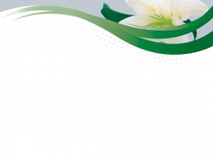 Lily Flower PPT Themes