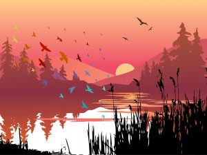 Lake with Bird Herd Backgrounds