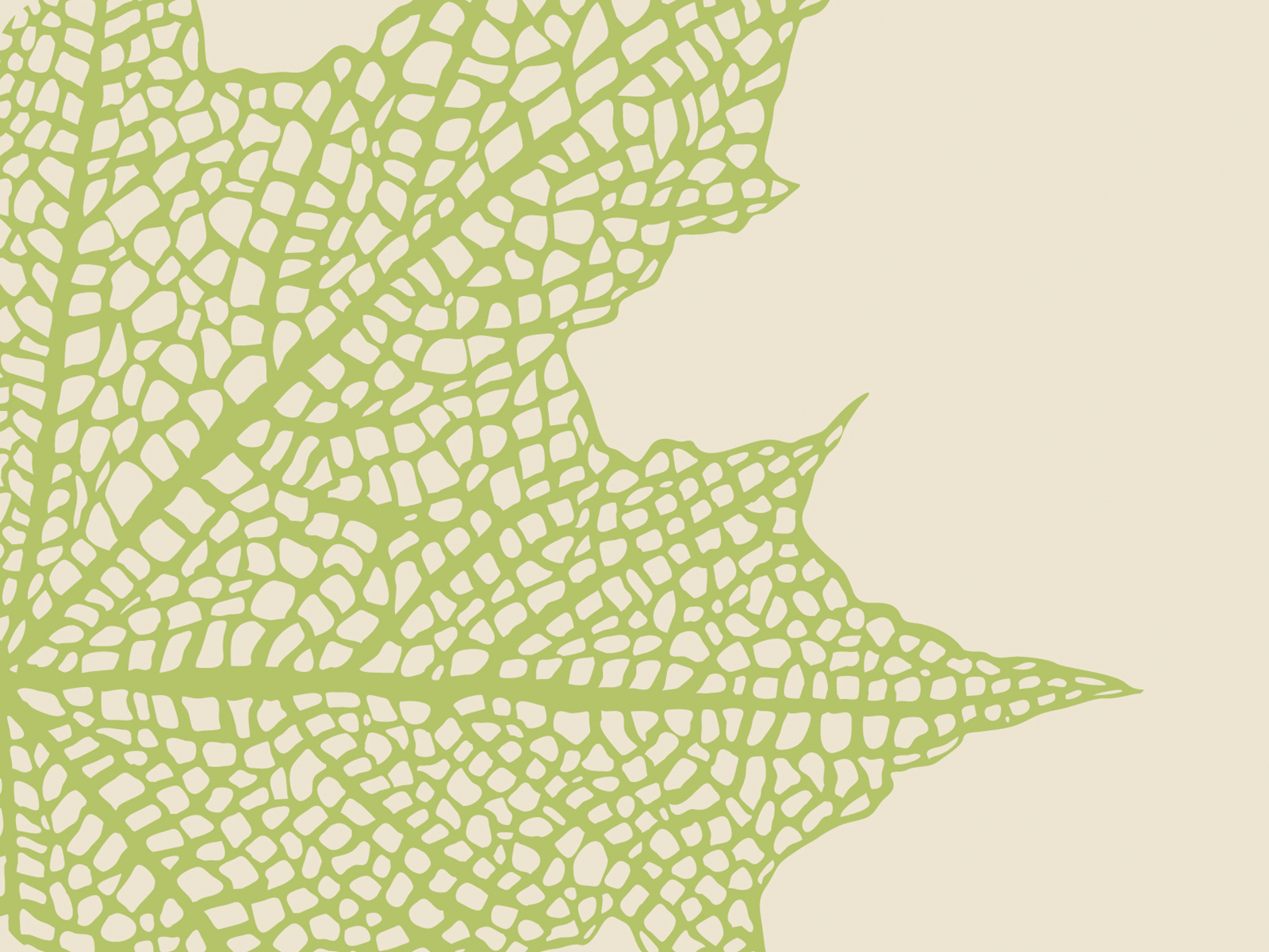 Abstract Leaf Powerpoint Templates - Green, Nature - Free PPT Backgrounds  and Templates