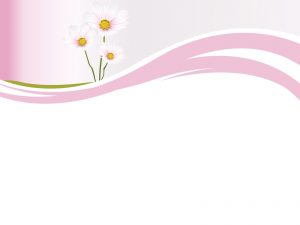 Daisies on Pink Templates