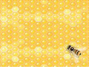 Honey Comb and Bee Background