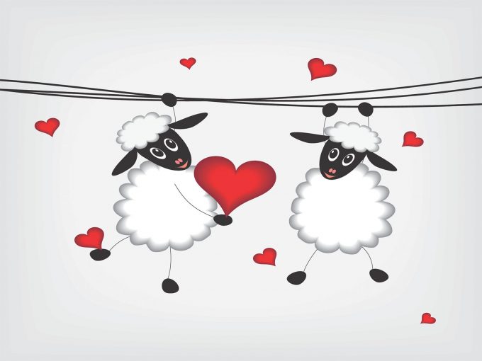 Love Sheep Powerpoint Templates Animals Wildlife Free PPT 