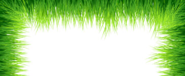 Frame Grass Green Background